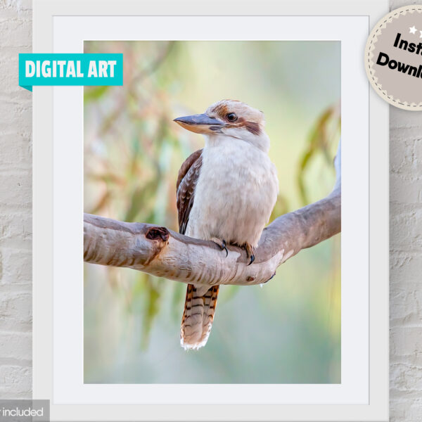Laughing Kookaburra Digital Art File