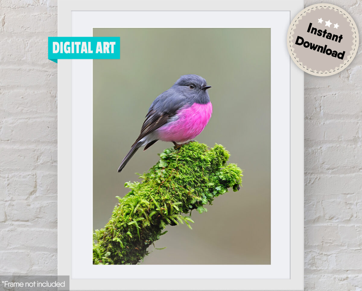 Pink Robin Digital Art