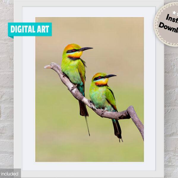 Rainbow Bee-eater Digital Art