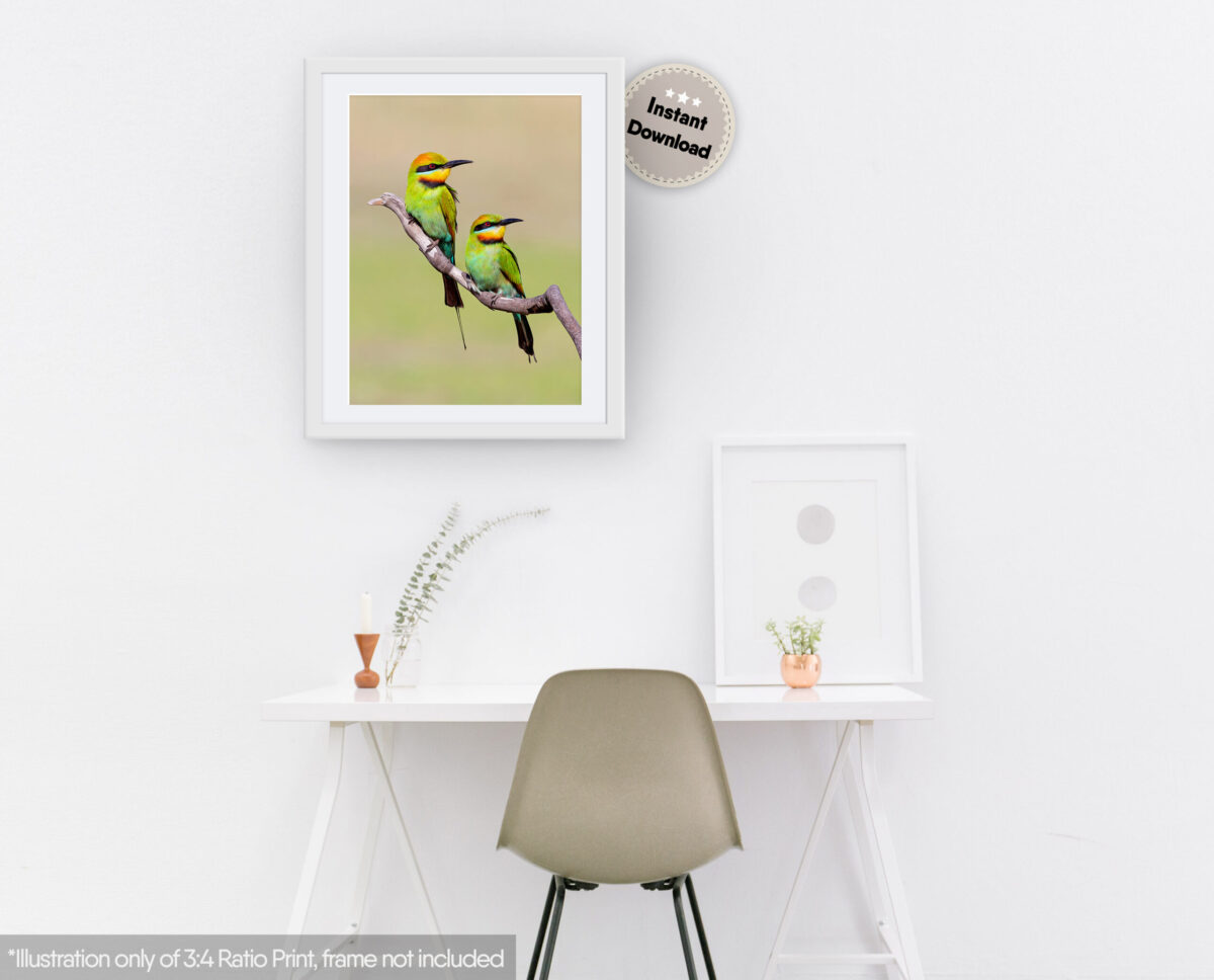 Rainbow Bee-eater Digital Art