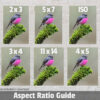 Pink Robin Digital File Ratio