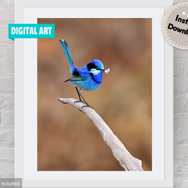 Splendid Fairy-wren Digital Art